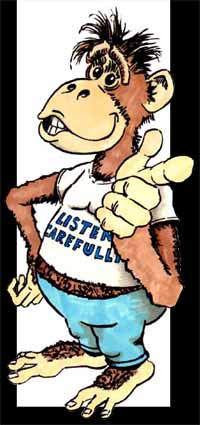 todd_the_carpet_monkey_image