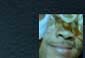 nick_rollover